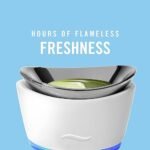 Febreze Wax Melts Set of 6 Cubes, 2.5 oz Each - Guava & Vanilla, Downy April Fresh, Gain Original - Odor-Fighting Fragrances - Image 2