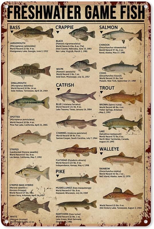 We Review: Freshwater Fish Guide Tin Sign for Your Man Cave