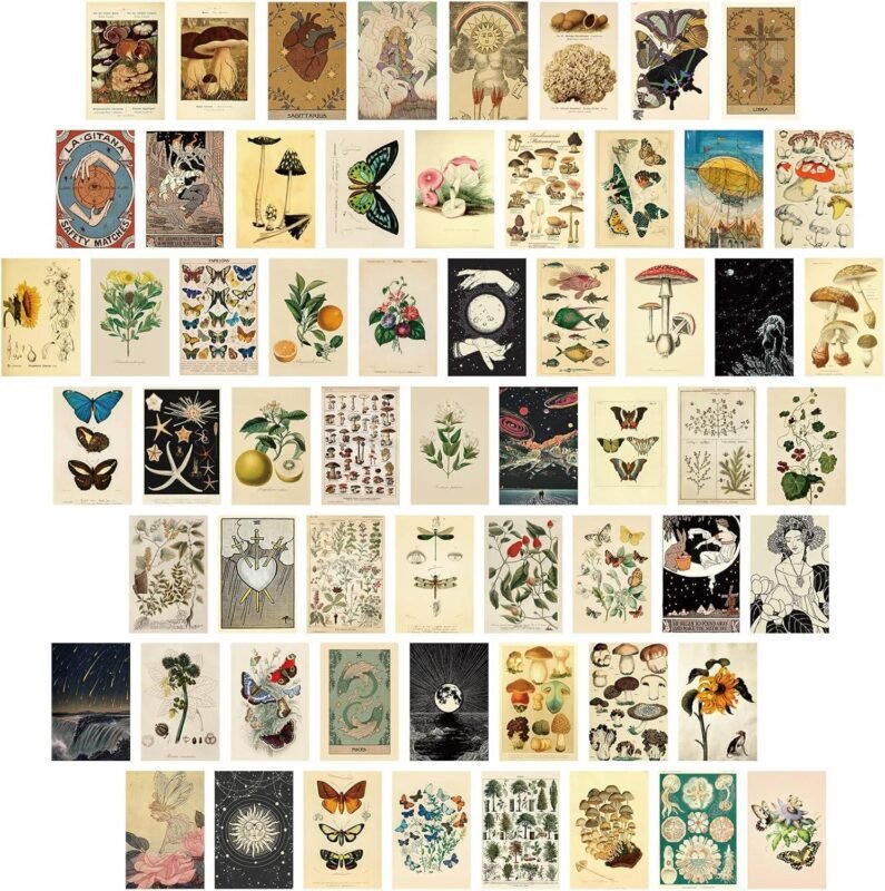 We Explore Containlol’s 60 Piece Vintage Botanical Wall Collage Kit