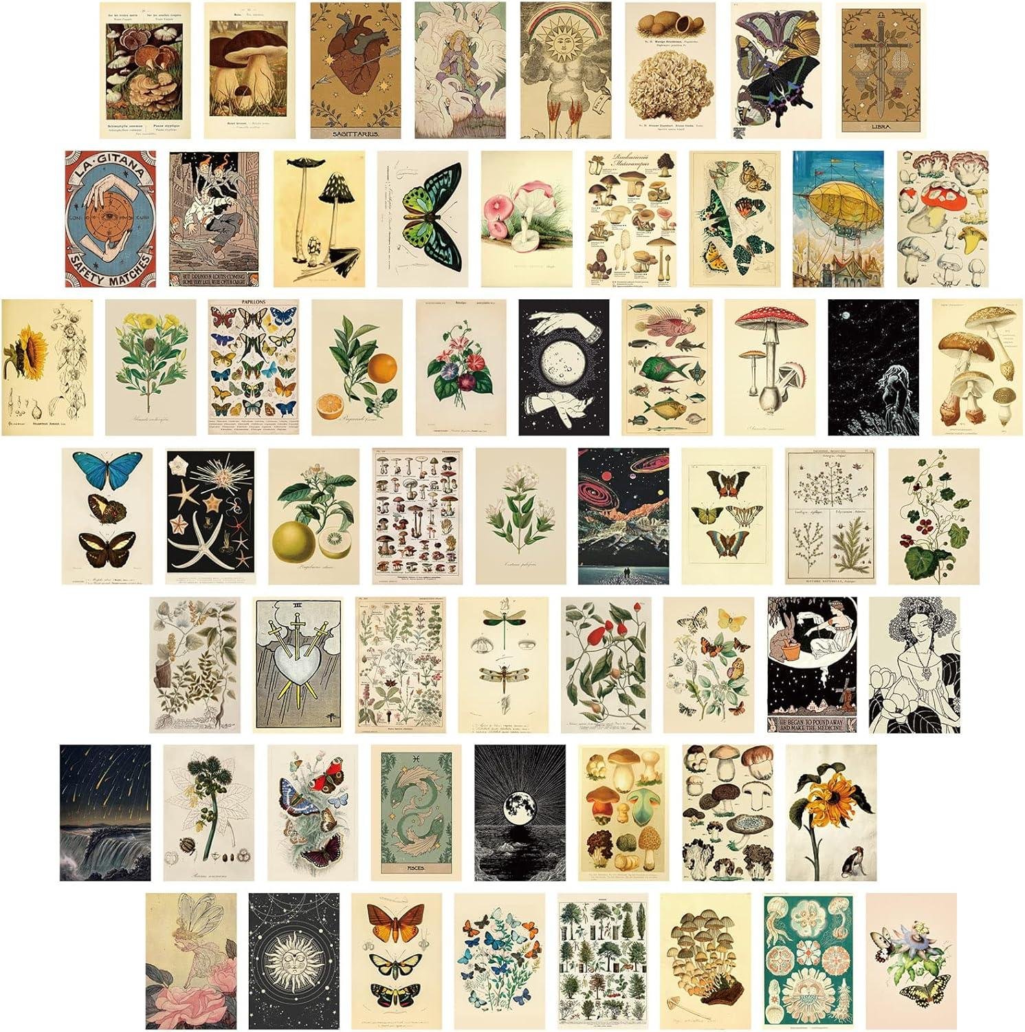We Explore Containlol’s 60 Piece Vintage Botanical Wall Collage Kit