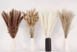 Dried Pampas Grass Decor - 100 Stems with Bunny Tails, Rustic Boho Flowers for Home, Weddings, and Parties (17", White & Brown) - Image 3