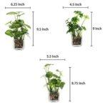 MyGift Set of 3 Small Faux Potted Plants in Clear Glass Pots – Ideal Indoor Decor for Any Room. - Image 5