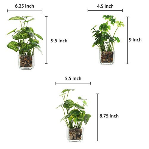 41-ZplRB7qL._SL500_.jpg MyGift Set of 3 Small Faux Potted Plants in Clear Glass Pots – Ideal Indoor Decor for Any Room. - Image 5