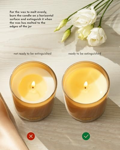 4114dVVI-zL._SL500_.jpg 96NORTH Pure Coconut Candle | 100% Natural Soy Wax | One Wick | Non-Toxic Aromatherapy Gift | Up to 35 Hours Burn Time - Image 4
