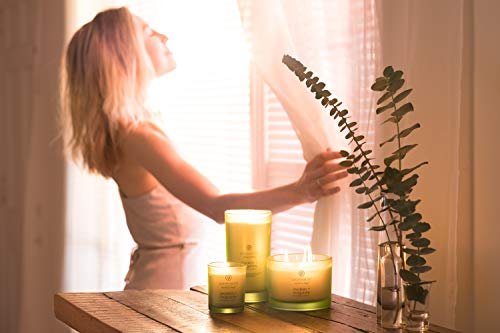 414HwdHf9WL._SL500_.jpg Chesapeake Bay Candle PT40886, Awaken + Invigorate Scented Candle, Lemongrass Eucalyptus, Medium Green Home Décor. - Image 4