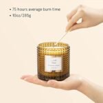 LA Jolie Muse Sahara Amber Candles: Luxury Scented Soy Candles in Glass Jars, Perfect Gifts for Men & Women, 75-Hour Burn Time, 10 oz. - Image 5