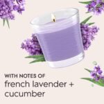 Glade 1-Wick Scented Candle Jar, Tranquil Lavender & Aloe, 4.08 Oz, Infused with Essential Oils. - Image 5
