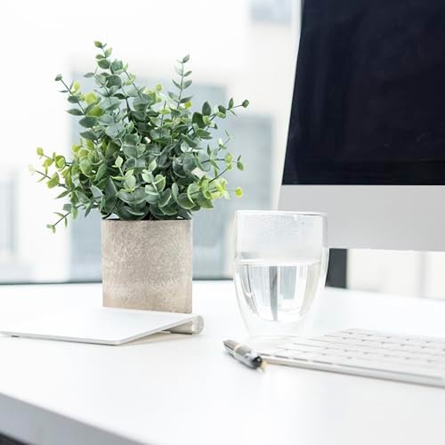 41P3T-4fgkL._SL500_.jpg Coferset 2-Pack Small Eucalyptus Artificial Plants for Home, Desk, Bathroom, Farmhouse Decor (Sage Green) - Image 6