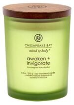 Chesapeake Bay Candle PT40886 Scented Candle, Awaken + Invigorate (Lemongrass Eucalyptus), Medium , Green, Home Décor