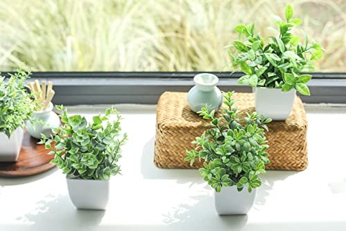 41Qn0TSrYL._SL500_.jpg Der Rose 4-Pack Mini Artificial Greenery Potted Plants for Indoor Home, Office, and Bathroom Decor - Image 6