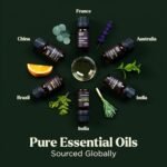 Essential Oils Set - 6 Popular Blends for Diffusers, Aromatherapy & Candle Making (10mL) - Image 7