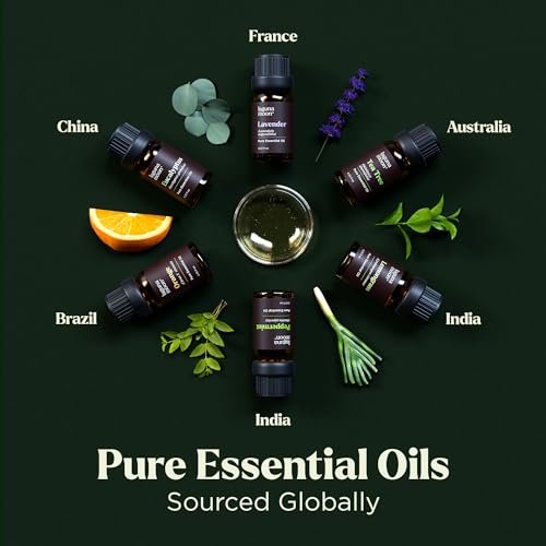 41qv4tnyk0L._SL500_.jpg Essential Oils Set - 6 Popular Blends for Diffusers, Aromatherapy & Candle Making (10mL) - Image 7