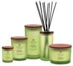 Chesapeake Bay Candle PT40886, Awaken + Invigorate Scented Candle, Lemongrass Eucalyptus, Medium Green Home Décor. - Image 3