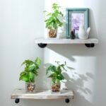 MyGift Set of 3 Small Faux Potted Plants in Clear Glass Pots – Ideal Indoor Decor for Any Room. - Image 3