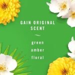 Febreze Wax Melts in Gain Original Scent: 6 packs with 6 cubes each for effective air freshening. - Image 7