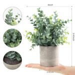 Coferset 2-Pack Small Eucalyptus Artificial Plants for Home, Desk, Bathroom, Farmhouse Decor (Sage Green) - Image 7