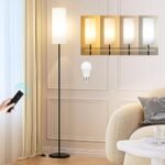 Ambimall Floor Lamps for Living Room, 64" Modern Floor Lamp with Remote Control and Stepless Dimmable Colors Temperature & Brightness, Standing Lamps for Living Room Bedroom Office, 9W Bulb Included