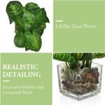 MyGift Set of 3 Small Faux Potted Plants in Clear Glass Pots – Ideal Indoor Decor for Any Room. - Image 6