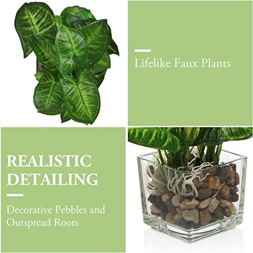 514ytckHj3L._SL500_.jpg MyGift Set of 3 Small Faux Potted Plants in Clear Glass Pots – Ideal Indoor Decor for Any Room. - Image 6
