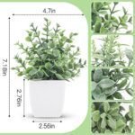 Der Rose 4-Pack Mini Artificial Greenery Potted Plants for Indoor Home, Office, and Bathroom Decor - Image 2