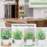 Der Rose 4-Pack Mini Artificial Greenery Potted Plants for Indoor Home, Office, and Bathroom Decor - Image 3
