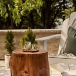 Thymes Frasier Fir Candle – Aromatic Holiday Blend of Siberian Fir, Cedarwood & Sandalwood (6.5 oz) - Image 4