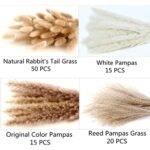Dried Pampas Grass Decor - 100 Stems with Bunny Tails, Rustic Boho Flowers for Home, Weddings, and Parties (17", White & Brown) - Image 4