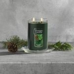 Yankee Candle Balsam & Cedar 22oz Dual-Wick Tumbler: Holiday Scent, 75+ Hours Burn Time, Perfect Gift! - Image 3