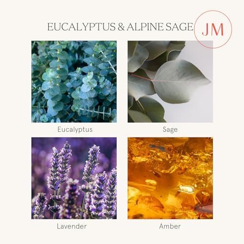 51ZZmcPXvaL._SL500_.jpg LA JOLIE MUSE Eucalyptus & Alpine Sage Scented Candles: Large 19oz Wood Wick, 90-hour Burn, Decorative Glass, Natural Soy Wax. - Image 3