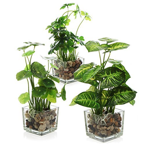 MyGift Set of 3 Small Faux Potted Plants in Clear MyGift Set of 3 Small Fake Plants, Artificial Faux Potted Plants Indoor in Clear Glass Pot, Faux Plant Decor for Room Decorations