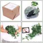 Whonline Artificial Hanging Plants - Small Potted Decor for Indoor/Outdoor Aesthetic Office & Living Room (1 Pack) - Image 4