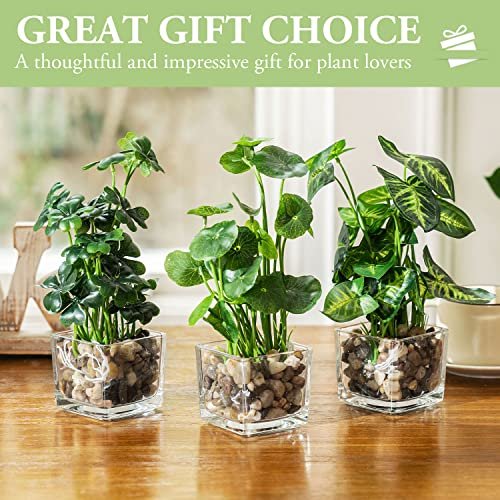 51gY85YNdL._SL500_.jpg MyGift Set of 3 Small Faux Potted Plants in Clear Glass Pots – Ideal Indoor Decor for Any Room. - Image 2