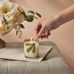 Thymes Frasier Fir Candle – Aromatic Holiday Blend of Siberian Fir, Cedarwood & Sandalwood (6.5 oz) - Image 2