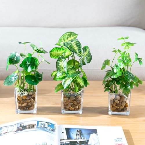 51uHNn55gfL._SL500_.jpg MyGift Set of 3 Small Faux Potted Plants in Clear Glass Pots – Ideal Indoor Decor for Any Room. - Image 4