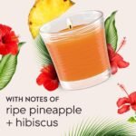Glade 1-Wick Hawaiian Breeze Scented Candle Jar, 4.08 Oz, 2-Pack, Infused with Essential Oils - Image 5
