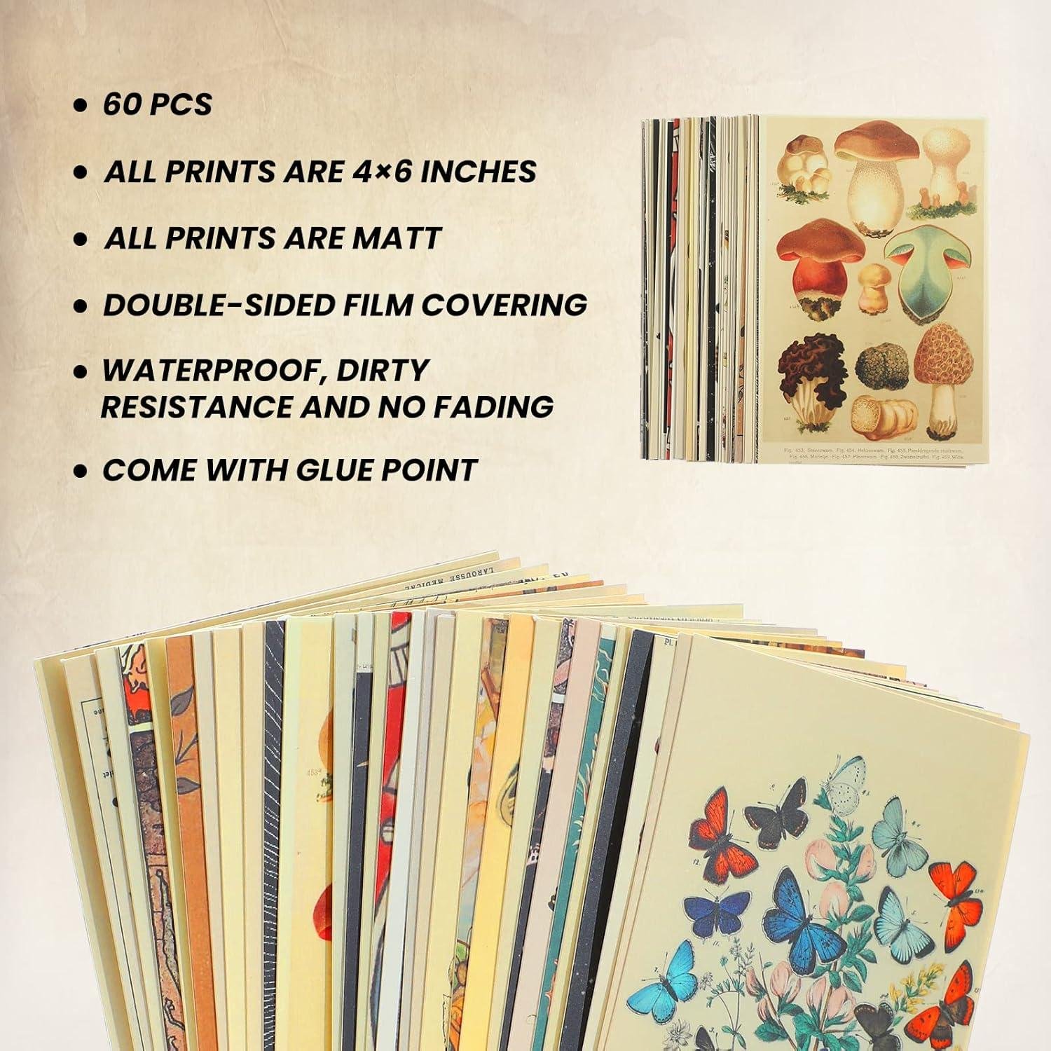 We Explore Containlol's 60 Piece Vintage botanical Wall Collage kit