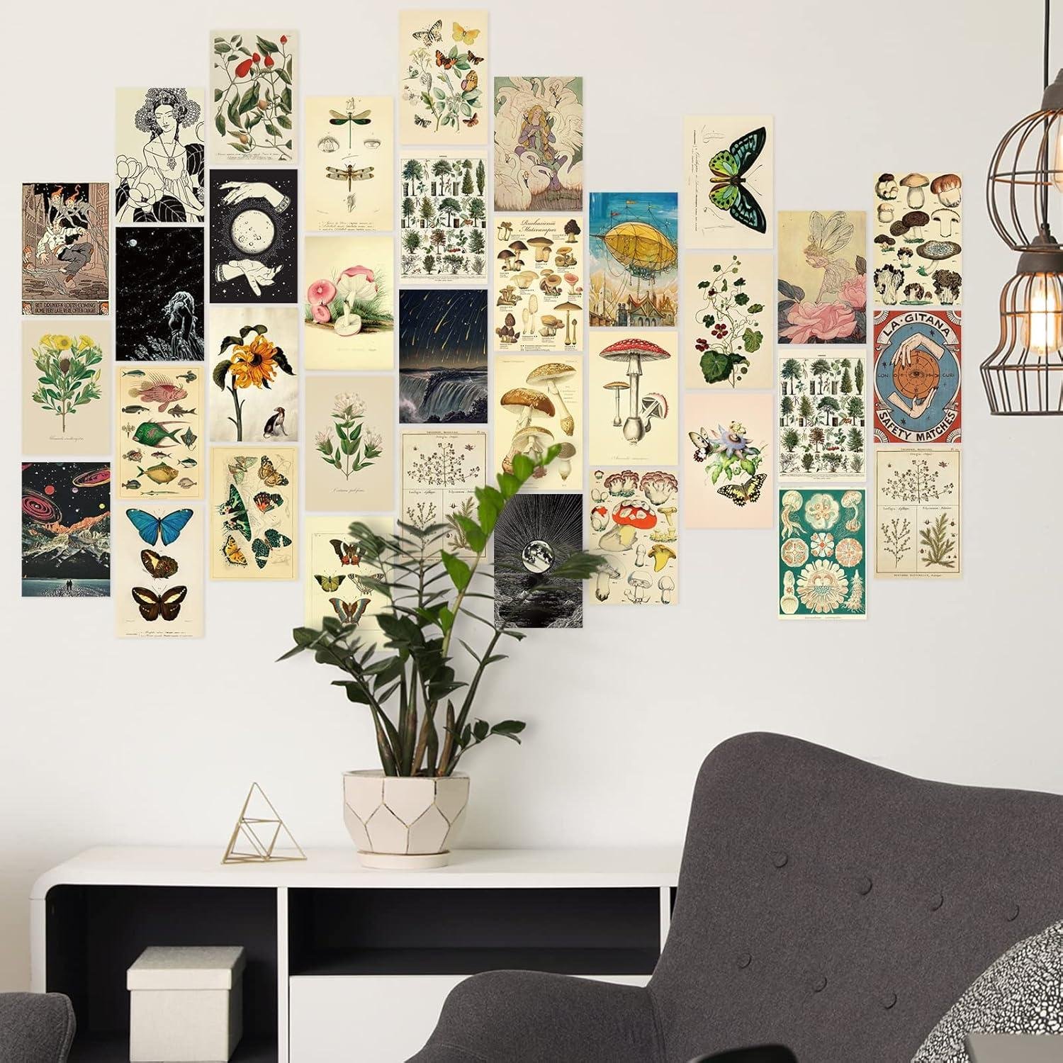We Explore Containlol's 60 Piece Vintage Botanical Wall Collage Kit
