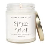 Sweet Water Decor Calm & Fresh Stress Candle - Eucalyptus, Spearmint, Citrus, Sage, Relaxing Scented Soy Candles for Home - 9oz Clear Jar, 40 Hour Burn Time, Made in the USA