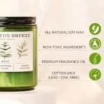 Eucalyptus & Mint Soy Candles: 20-Hour Burn, Stress Relief Gift for Meditation & Relaxation, 4oz. - Image 3