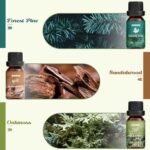 ARVIDSSON Nature Essential Oils Set: Natural Fragrance Oils for Candle Making & Diffusers - Fresh Cut Grass, Ocean Breeze, Rain, Pine, Sandalwood, Oakmoss. - Image 4