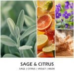 Sage & Citrus Aromatherapy Candles - 7 oz Soy Wax Jar, 50-Hour Long-Lasting Gift for Women - Image 2