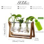 XXXFLOWER Terrarium with Wooden Stand - Retro 3-Bulb Glass Air Planter for Hydroponics Home & Office Decor - Image 2