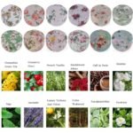 12-Pack Spring Scented Candles Gift Set: Long-Lasting 240-Hour Stress Relief Gifts for Women. Perfect for Birthdays & Mother's Day! - Image 5