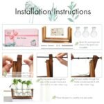 XXXFLOWER Terrarium with Wooden Stand - Retro 3-Bulb Glass Air Planter for Hydroponics Home & Office Decor - Image 3