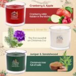 TRINIDa Holiday Scented Candles Gift Set: Balsam Fir, Apple, & Pine - 3 Pack | 6.5 Oz, Green, Red, White - Image 3