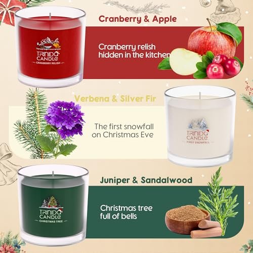 51zmIb8zhwL._SL500_.jpg TRINIDa Holiday Scented Candles Gift Set: Balsam Fir, Apple, & Pine - 3 Pack | 6.5 Oz, Green, Red, White - Image 3