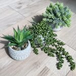 Winlyn 3-Pc Assorted Artificial Succulent Plants Set in Gray Geometric Pots for Indoor/Outdoor Decor. Perfect for Gifts! - Image 7