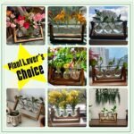 XXXFLOWER Terrarium with Wooden Stand - Retro 3-Bulb Glass Air Planter for Hydroponics Home & Office Decor - Image 5