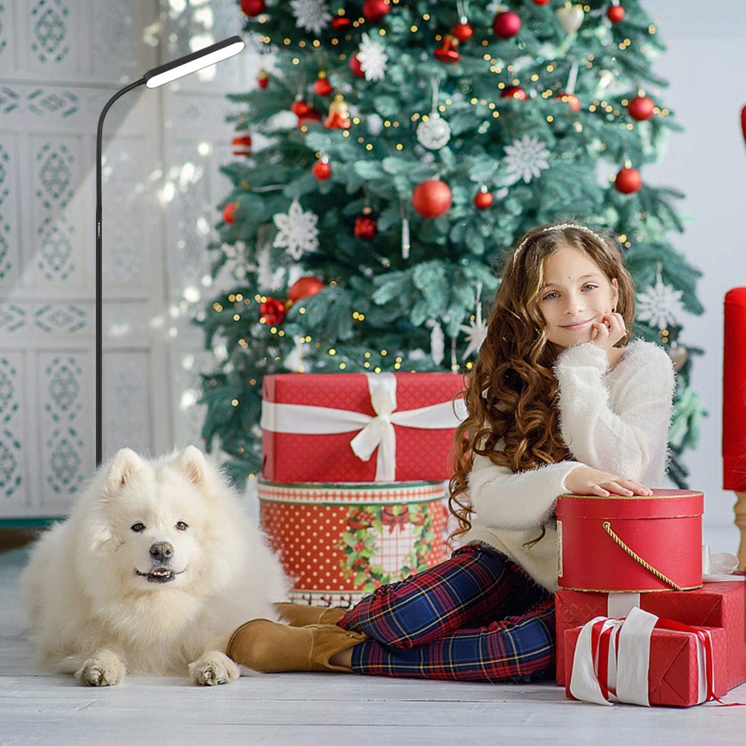 Our Review of the wiomio LED Floor Lamp with remote & Touch Control