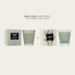 NEST New York Wild Mint & Eucalyptus Scented Classic Candle - 8.1 oz, 60-Hour Burn, Reusable Glass Container - Image 2